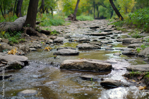 Shallow Stream Flowing Over Rocks in a Forest