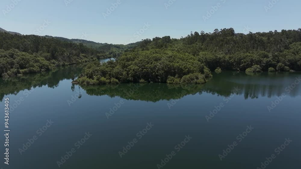Bushy Forest Reflected Over Tranquil Waters Bushy Forest Reflected Over Tranquil Waters