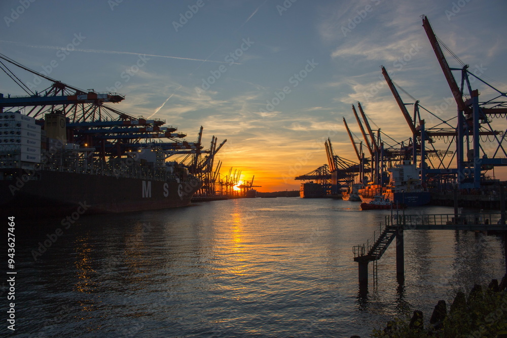 cranes at sunset cranes at sunset