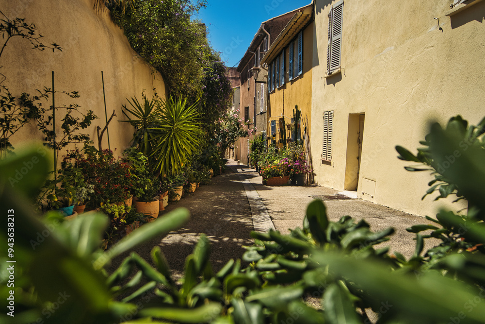 Fototapeta premium Frejus, Cote d'Azur (France)
