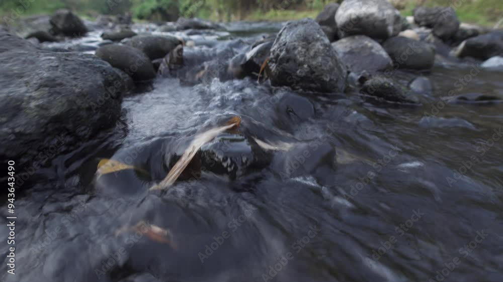 Mountain river flowing through the rocks. Slow motion Mountain river flowing through the rocks. Slow motion