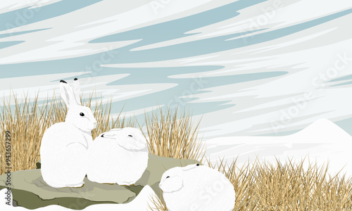 A flock of white polar hares sits near large stones and dry grass. Wild animal of the Arctic tundra in winter. Realistic vector landscape