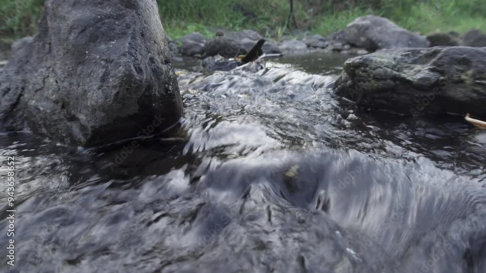 The river is polluted with human waste The river is polluted with human waste