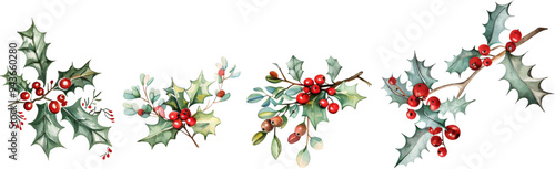 Set of Christmas holly arrangements with red berries and green leaves, traditional festive decorations on a transparent background, for holiday designs