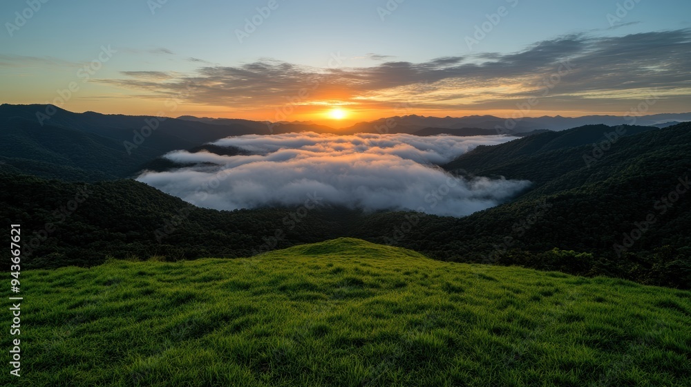 Fototapeta premium A beautiful sunrise casts its light over lush green hills and a valley blanketed in soft, white fog, creating a peaceful and serene scene.
