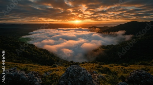 A stunning sunrise illuminates a valley filled with soft clouds, surrounded by lush green mountains, creating a breathtaking and serene landscape. photo