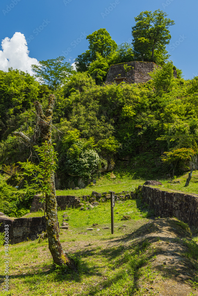 Fototapeta premium 日本 岐阜県中津川市にある岩山の上に建つ苗木城の天守展望台