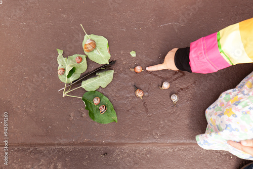 Kind spielt mit Schnecken. Spielerisch lernen.
Child playing with snails. Learning through play.