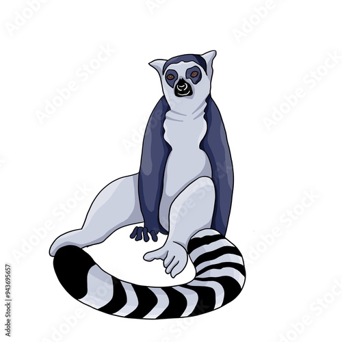 lemur
