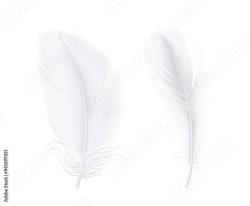 Lightweight fluffy plumage of white bird. Vector isolated set of realistic weightless avian animal feather. Smooth and elegant decoration, nature and softness of touch. Wing of birdie, quills