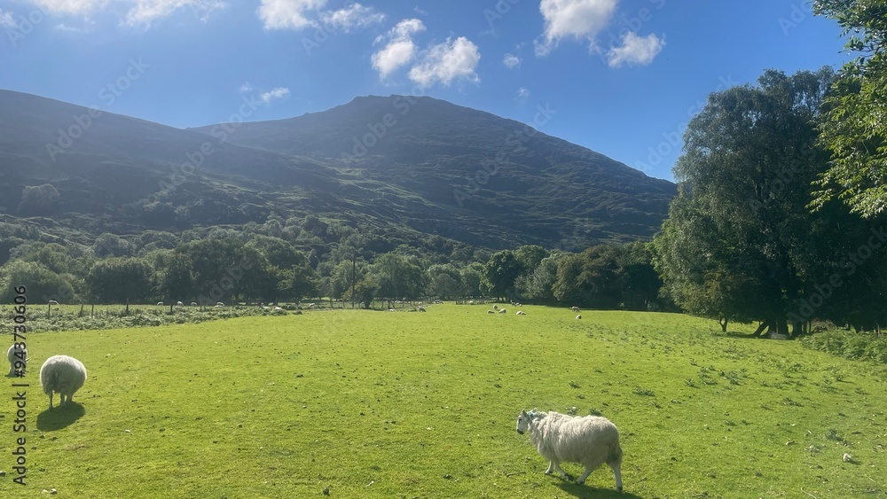 Fototapeta premium Ireland