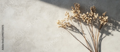 Dried field flowers casting...