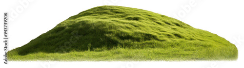 PNG  Lush green grassy hill