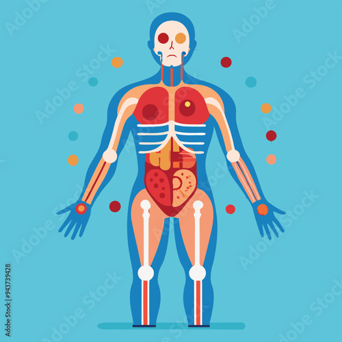 Body Anatomy Concept Illustration
