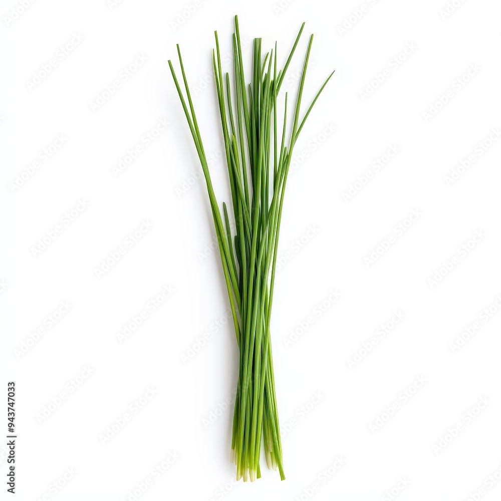Bunch of Fresh Chives Isolated on White Background. Bunch of Fresh Chives Isolated on White Background.
