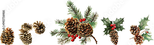 Set of festive pine cones with holly and evergreen branches on a transparent background, for Christmas and winter-themed designs
