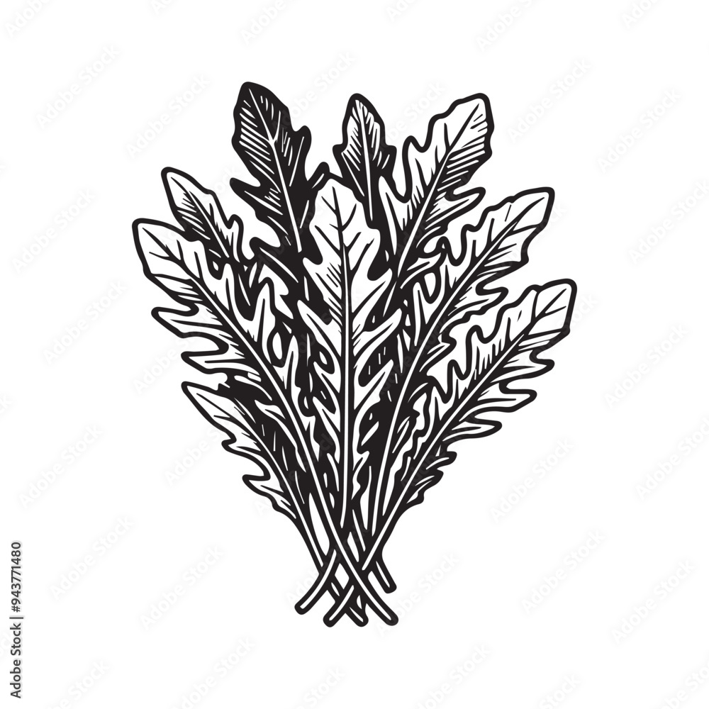 Vegetable Clipart - Veggies Food Silhouette Graphics - Arugula Rocket vegetable Vector Illustration in black and white Vegetable Clipart - Veggies Food Silhouette Graphics - Arugula Rocket vegetable Vector Illustration in black and white