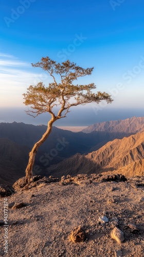 The dragon's tail tree showcases its intricate crown and robust trunk, highlighting the beauty of nature under a bright sky with mountains in the distance