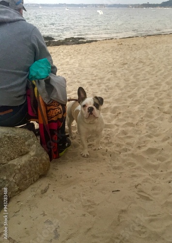 oreille cassée