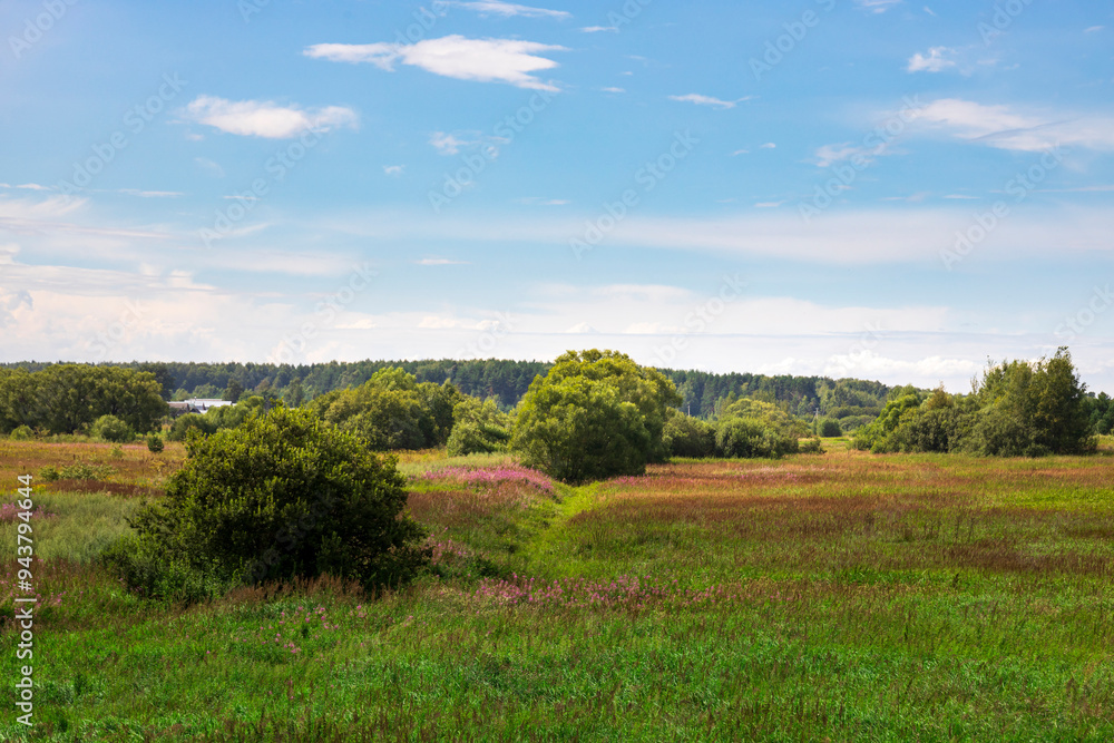 A serene meadow unfolds under a clear blue sky, with gentle hills in the distance and colorful wildflowers dotting the landscape. A serene meadow unfolds under a clear blue sky, with gentle hills in the distance and colorful wildflowers dotting the landscape.
