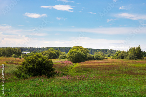 A serene meadow unfolds under a clear blue sky, with gentle hills in the distance and colorful wildflowers dotting the landscape.