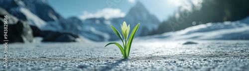 Wallpaper Mural Minimalist Scene with a Single Blade of Grass A Symbol of New Life, Hope, and Resilience Perfect for Desktop Backgrounds, Phone Wallpapers, and Inspiring Wall Art Download This High-Resolution Image Torontodigital.ca