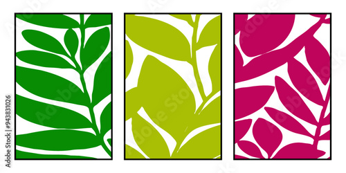 Set of 3 botanical illustrations. Minimalist pattern for printing on wall decorations, covers.