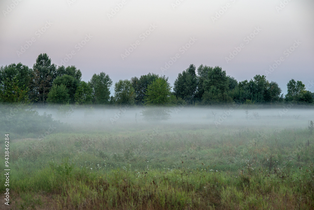A soft summer morning mist drapes the fields near the city at the end of August, weaving through the golden grasses and whispering the promise of a new day A soft summer morning mist drapes the fields near the city at the end of August, weaving through the golden grasses and whispering the promise of a new day