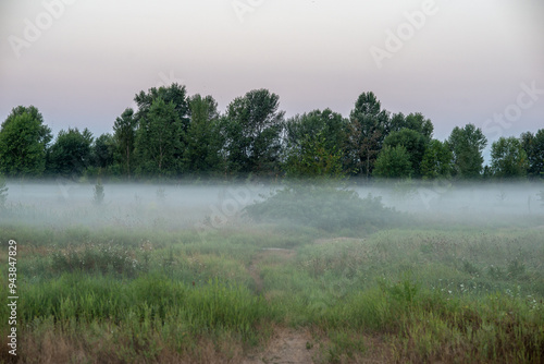 A soft summer morning mist drapes the fields near the city at the end of August, weaving through the golden grasses and whispering the promise of a new day photo