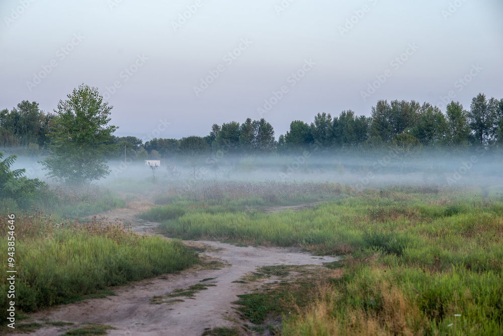 A soft summer morning mist drapes the fields near the city at the end of August, weaving through the golden grasses and whispering the promise of a new day A soft summer morning mist drapes the fields near the city at the end of August, weaving through the golden grasses and whispering the promise of a new day