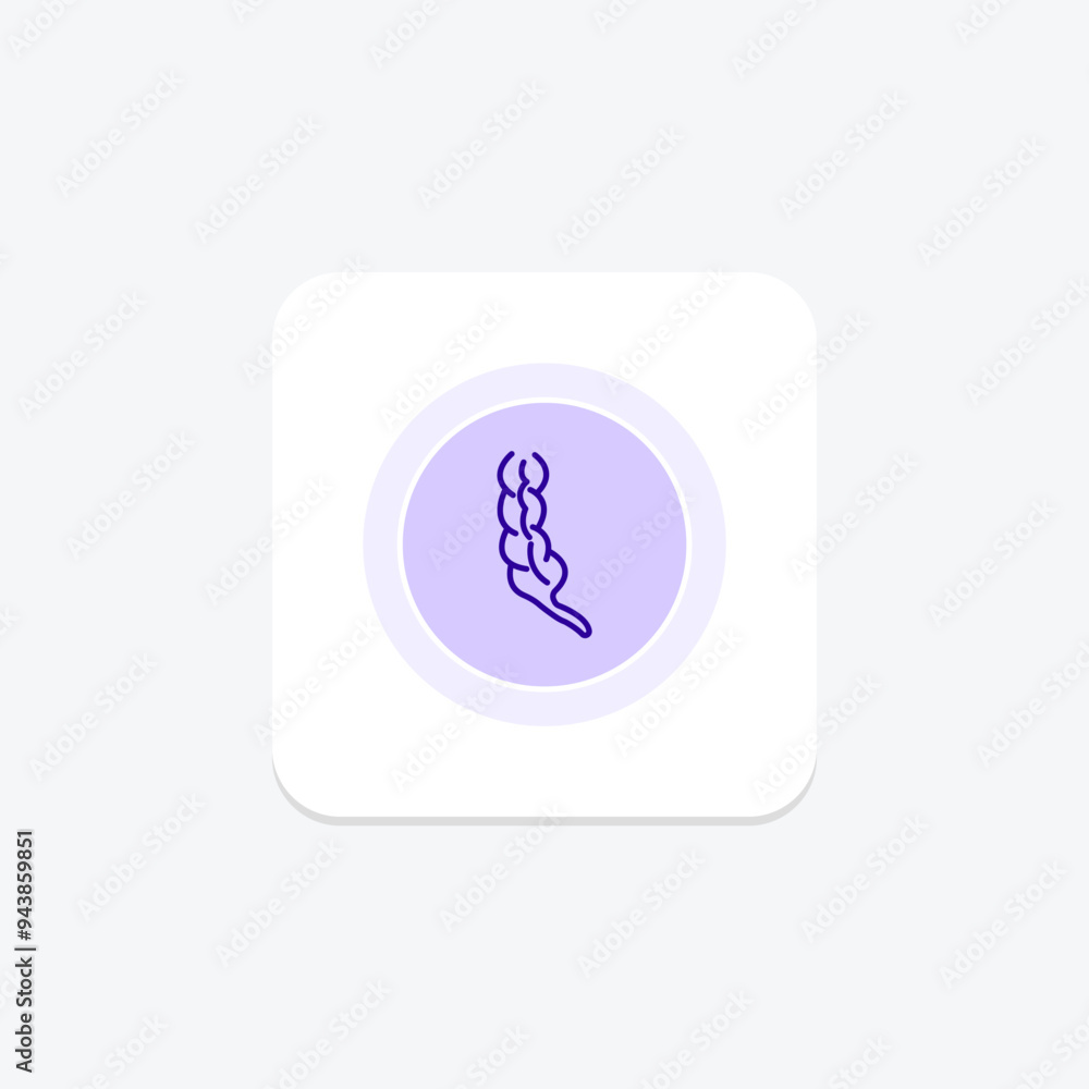 Appendix line icon , vector, pixel perfect, illustrator file Appendix line icon , vector, pixel perfect, illustrator file