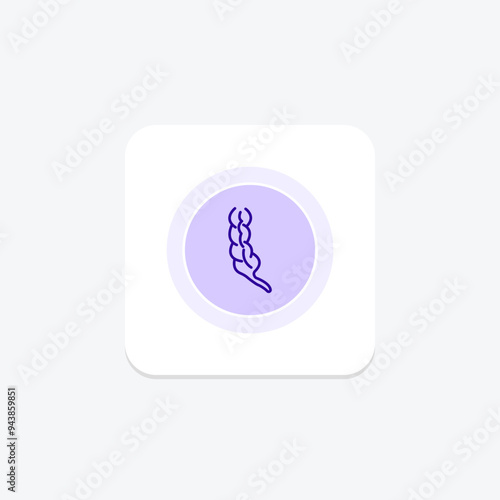 Appendix line icon , vector, pixel perfect, illustrator file