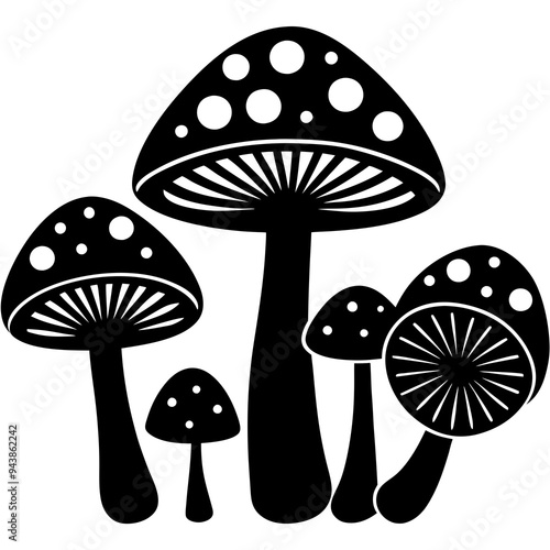 illustration of mushrooms