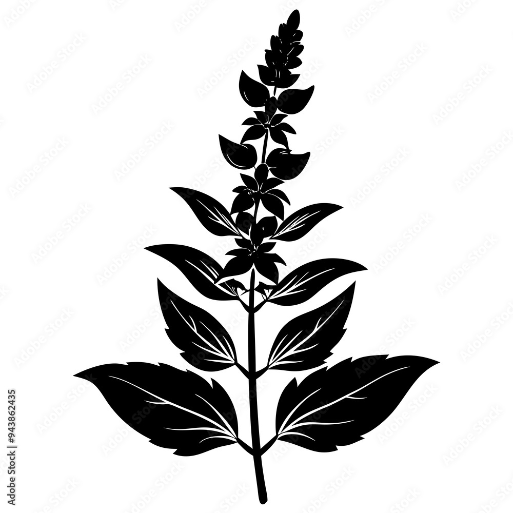 silhouette of a plant silhouette of a plant