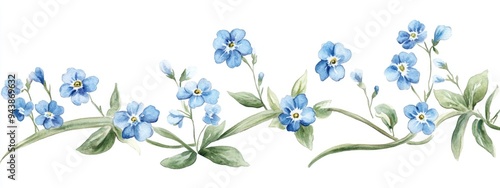 Watercolor illustration of forget me nots on a plain white background