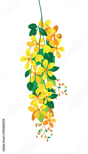 kanikonna png which is translated as Golden shower tree