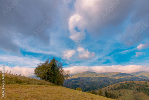 Beautiful autumn scenery of a foggy valley in the Carpathian mountains in the early morning. Grass hill with trees in the foreground.