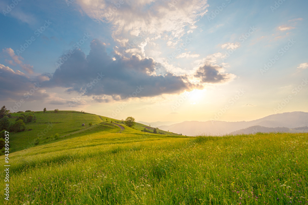 Picturesque scenery of summer green hills under a gorgeous sunset sky with clouds. Wildflowers on a green grass meadow. Carpathian mountains. Ukraine. Picturesque scenery of summer green hills under a gorgeous sunset sky with clouds. Wildflowers on a green grass meadow. Carpathian mountains. Ukraine.