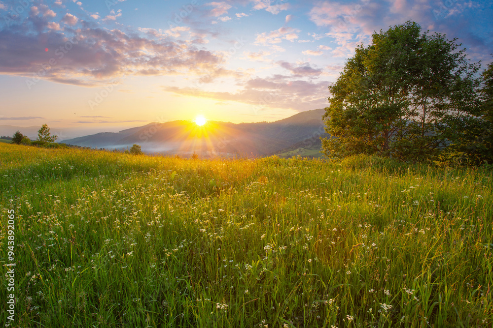 Obraz premium An awesome scenery of summer green hills under a gorgeous sunset sky with clouds. Wildflowers on a green grass meadow.