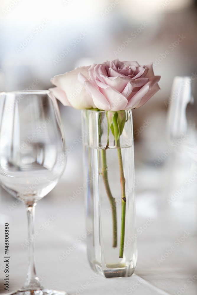 Roses in Vase and Wine Glass, Toronto, Ontario, Canada Roses in Vase and Wine Glass, Toronto, Ontario, Canada