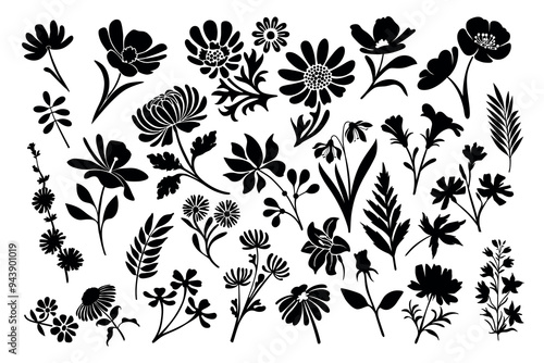 Set of flower and leaves silhouettes. Hand drawn floral design elements. Black and white outlines of wild and garden flowers and leaves isolated on white background.