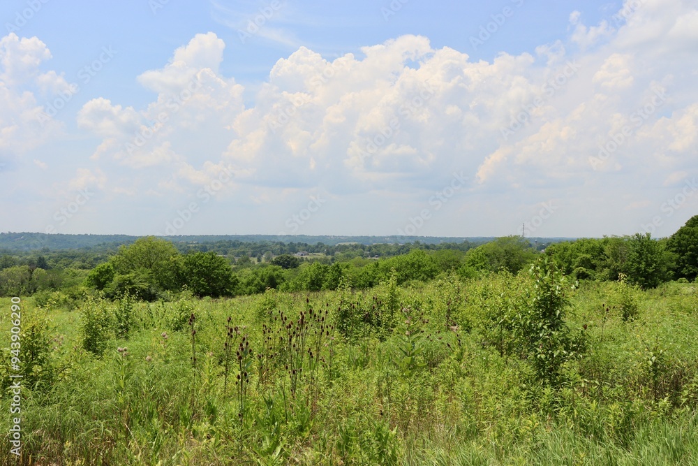 A view of the landscape horizon on a sunny day. A view of the landscape horizon on a sunny day.