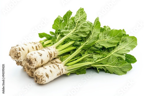 Fresh horseradish with green leaves, used in cooking and as a condiment.