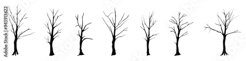 Set of drawn trees without leaves, drawing on white background, vector design