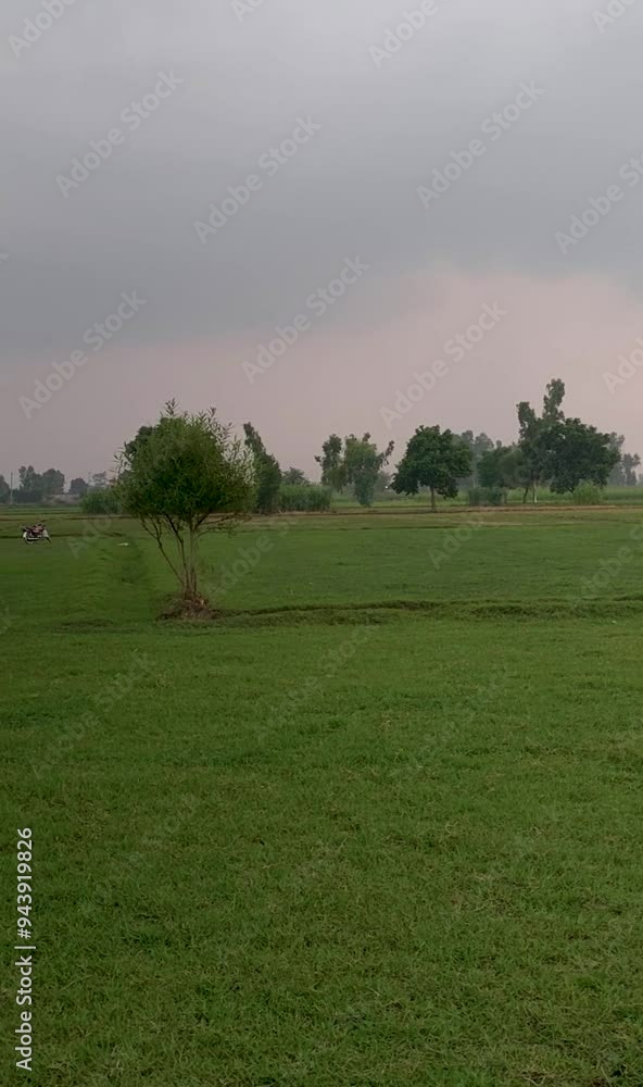 golf course in the evening golf course in the evening