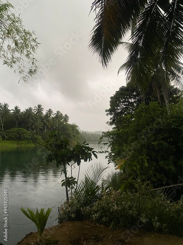 Fog over River photo