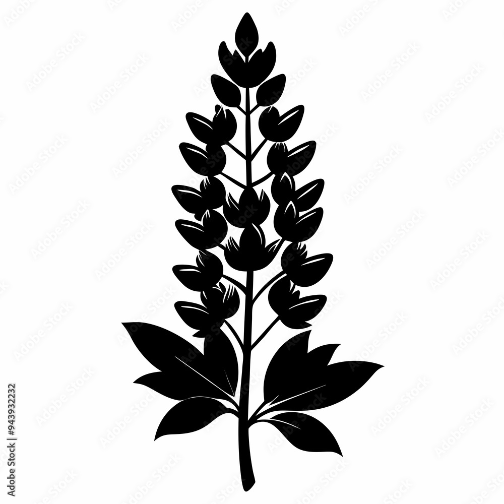 Lupine flower Black silhouette Lupine flower Black silhouette