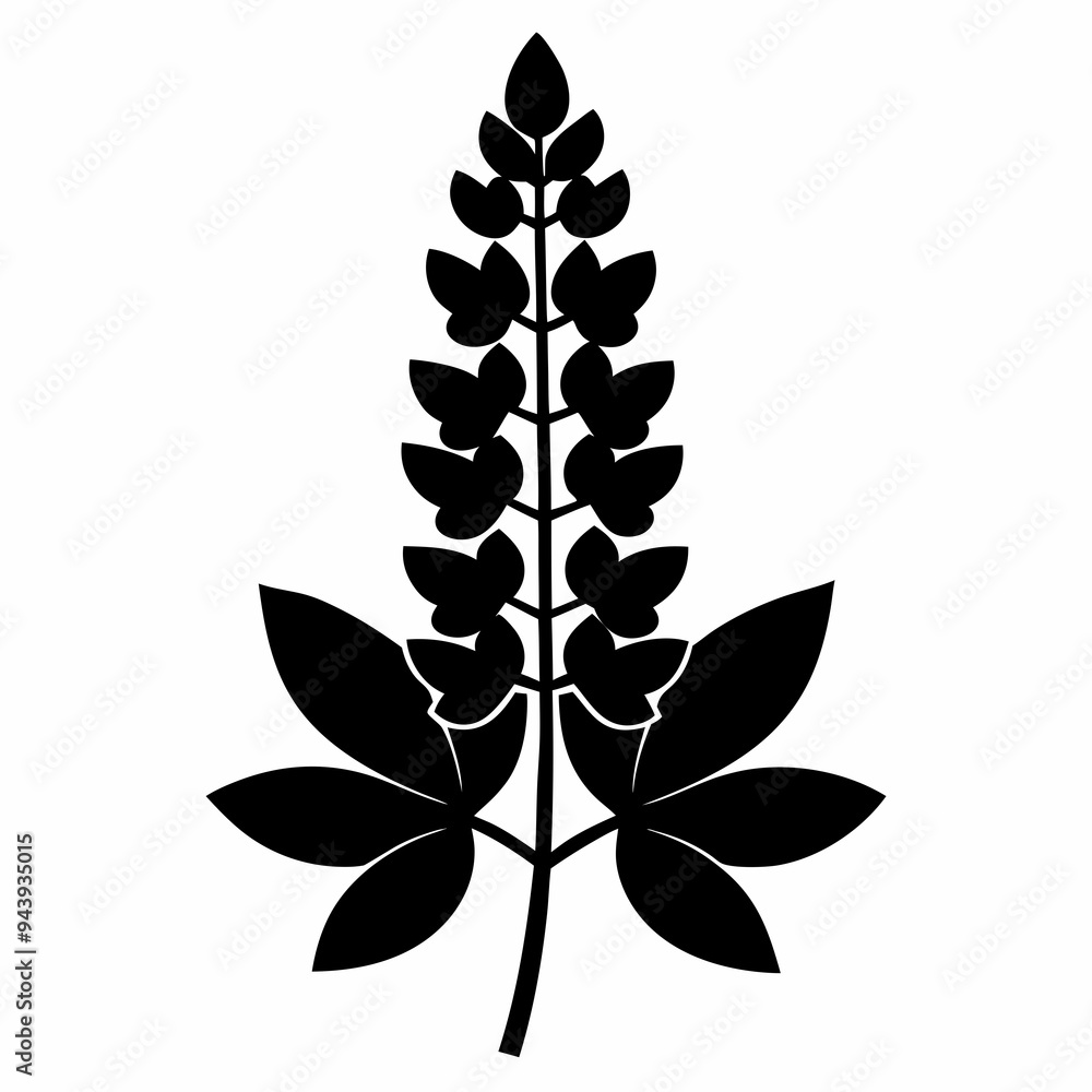 Lupine flower Black silhouette Lupine flower Black silhouette