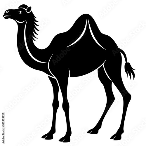 Camel silhouette vector illustration black animal on white background