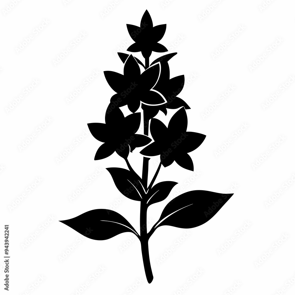 Loosestrife Black silhouette Loosestrife Black silhouette